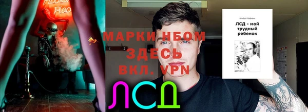 ГАЛЛЮЦИНОГЕННЫЕ ГРИБЫ Вязники