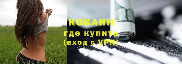 стафф Гусев