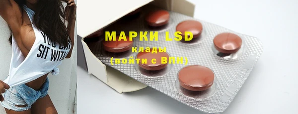 ГАЛЛЮЦИНОГЕННЫЕ ГРИБЫ Вязьма