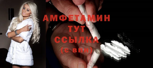 ГАЛЛЮЦИНОГЕННЫЕ ГРИБЫ Вязники