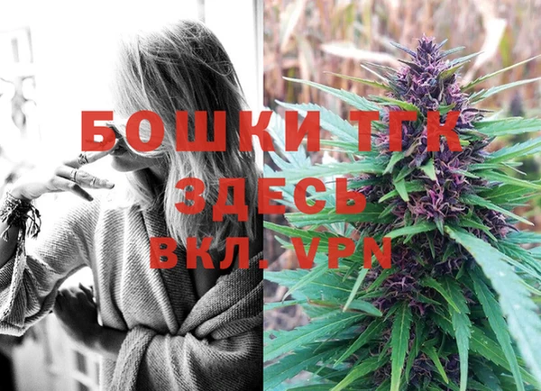 метадон Вяземский