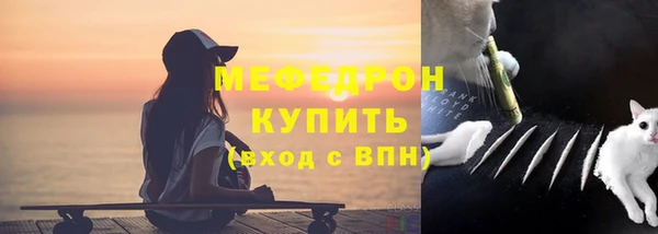 стафф Гусев