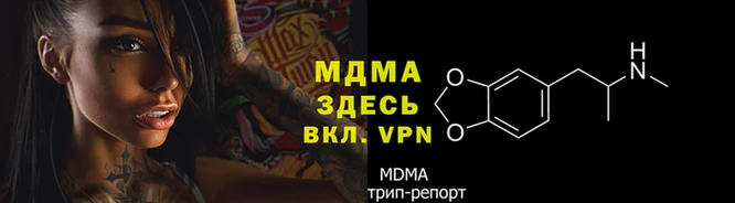 ГАЛЛЮЦИНОГЕННЫЕ ГРИБЫ Вязьма