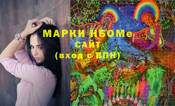 амф Горняк