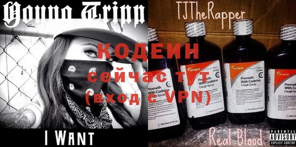 ГАЛЛЮЦИНОГЕННЫЕ ГРИБЫ Вязьма
