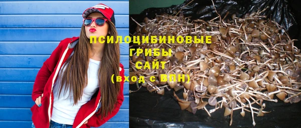 метадон Вяземский