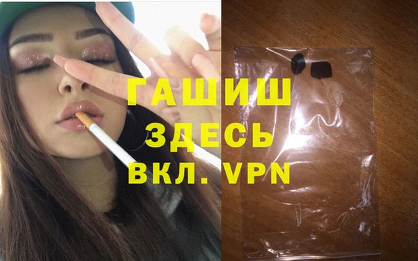 стафф Гусев