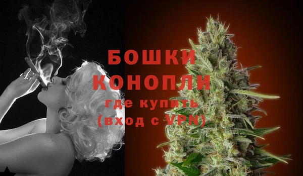 стафф Гусев