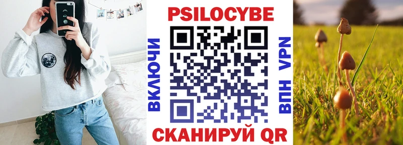 сколько стоит  блэк спрут онион  это состав  Дедовск  Галлюциногенные грибы MAGIC MUSHROOMS 